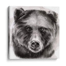 Oso Grin I - Jennifer Paxton Parker | Cuadro decorativo de Canvas Lab