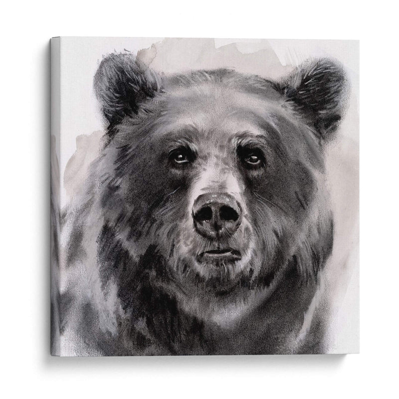 Oso Grin Ii - Jennifer Paxton Parker | Cuadro decorativo de Canvas Lab