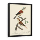 Pájaros Franceses Vintage I - de Langlois | Cuadro decorativo de Canvas Lab