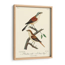 Pájaros Franceses Vintage I - de Langlois | Cuadro decorativo de Canvas Lab