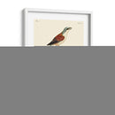 Pájaros Franceses Vintage I - de Langlois | Cuadro decorativo de Canvas Lab