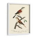 Pájaros Franceses Vintage I - de Langlois | Cuadro decorativo de Canvas Lab