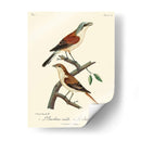 Pájaros Franceses Vintage I - de Langlois | Cuadro decorativo de Canvas Lab