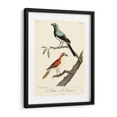 Pájaros Franceses Vintage Ii - de Langlois | Cuadro decorativo de Canvas Lab