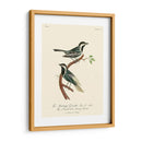 Pájaros Franceses Vintage Iii - de Langlois | Cuadro decorativo de Canvas Lab