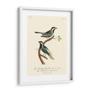 Pájaros Franceses Vintage Iii - de Langlois | Cuadro decorativo de Canvas Lab