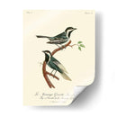 Pájaros Franceses Vintage Iii - de Langlois | Cuadro decorativo de Canvas Lab