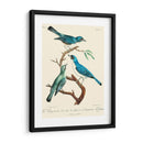 Pájaros Franceses Vintage Iv - de Langlois | Cuadro decorativo de Canvas Lab