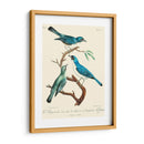 Pájaros Franceses Vintage Iv - de Langlois | Cuadro decorativo de Canvas Lab