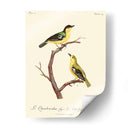 Pájaros Franceses Vintage V - de Langlois | Cuadro decorativo de Canvas Lab