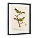 Pájaros Franceses Vintage Vi - de Langlois | Cuadro decorativo de Canvas Lab