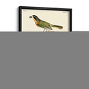 Pájaros Franceses Vintage Vi - de Langlois | Cuadro decorativo de Canvas Lab