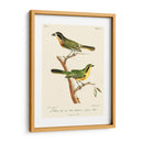 Pájaros Franceses Vintage Vi - de Langlois | Cuadro decorativo de Canvas Lab