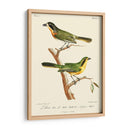 Pájaros Franceses Vintage Vi - de Langlois | Cuadro decorativo de Canvas Lab