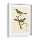 Pájaros Franceses Vintage Vi - de Langlois | Cuadro decorativo de Canvas Lab