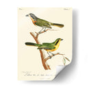 Pájaros Franceses Vintage Vi - de Langlois | Cuadro decorativo de Canvas Lab