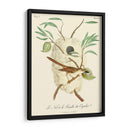 Pájaros Franceses Vintage Vii - de Langlois | Cuadro decorativo de Canvas Lab