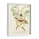 Pájaros Franceses Vintage Vii - de Langlois | Cuadro decorativo de Canvas Lab