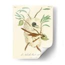 Pájaros Franceses Vintage Vii - de Langlois | Cuadro decorativo de Canvas Lab