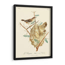 Pájaros Franceses Vintage Viii - de Langlois | Cuadro decorativo de Canvas Lab