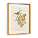 Pájaros Franceses Vintage Viii - de Langlois | Cuadro decorativo de Canvas Lab