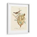 Pájaros Franceses Vintage Viii - de Langlois | Cuadro decorativo de Canvas Lab