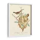 Pájaros Franceses Vintage Viii - de Langlois | Cuadro decorativo de Canvas Lab