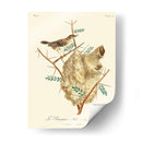 Pájaros Franceses Vintage Viii - de Langlois | Cuadro decorativo de Canvas Lab