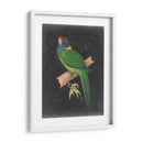 Loros Dramáticos Ii - Vision Studio | Cuadro decorativo de Canvas Lab