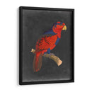 Loros Dramáticos Iii - Vision Studio | Cuadro decorativo de Canvas Lab