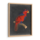 Loros Dramáticos Iii - Vision Studio | Cuadro decorativo de Canvas Lab