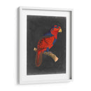 Loros Dramáticos Iii - Vision Studio | Cuadro decorativo de Canvas Lab