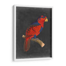 Loros Dramáticos Iii - Vision Studio | Cuadro decorativo de Canvas Lab