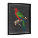 Loros Dramáticos Iv - Vision Studio | Cuadro decorativo de Canvas Lab