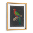 Loros Dramáticos Iv - Vision Studio | Cuadro decorativo de Canvas Lab