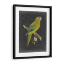 Loros Dramáticos V - Vision Studio | Cuadro decorativo de Canvas Lab