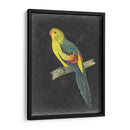 Loros Dramáticos Vi - Vision Studio | Cuadro decorativo de Canvas Lab