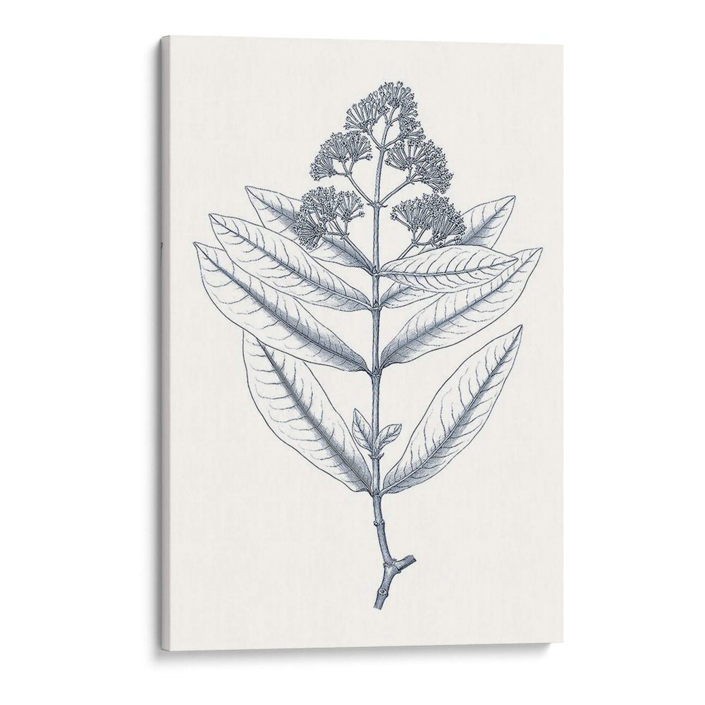 Indigo Botany Estudio I - Vision Studio | Cuadro decorativo de Canvas Lab