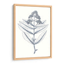 Indigo Botany Estudio I - Vision Studio | Cuadro decorativo de Canvas Lab