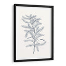 Indigo Botany Study Ii - Vision Studio | Cuadro decorativo de Canvas Lab