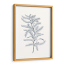 Indigo Botany Study Ii - Vision Studio | Cuadro decorativo de Canvas Lab