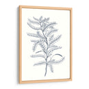 Indigo Botany Study Ii - Vision Studio | Cuadro decorativo de Canvas Lab