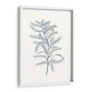 Indigo Botany Study Ii - Vision Studio | Cuadro decorativo de Canvas Lab