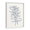 Indigo Botany Study Ii - Vision Studio | Cuadro decorativo de Canvas Lab