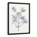 Indigo Botany Study Iii - Vision Studio | Cuadro decorativo de Canvas Lab