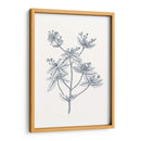 Indigo Botany Study Iii - Vision Studio | Cuadro decorativo de Canvas Lab