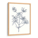 Indigo Botany Study Iii - Vision Studio | Cuadro decorativo de Canvas Lab