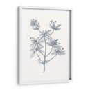 Indigo Botany Study Iii - Vision Studio | Cuadro decorativo de Canvas Lab