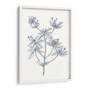 Indigo Botany Study Iii - Vision Studio | Cuadro decorativo de Canvas Lab