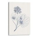Indigo Botany Study Iv - Vision Studio | Cuadro decorativo de Canvas Lab